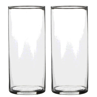 2x Glazen cilinder vaas/vazen 19 cm rond - Vazen Transparant