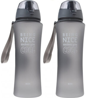 2x Grijze sportfles/sportbeker met sportdop 480 ml Being nice makes you cool - Bidons Grijs