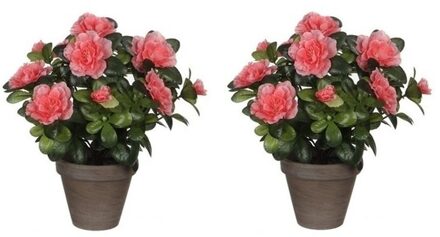 2x Groene Azalea kunstplanten met perzikkleurige bloemen 27 cm met pot stan grey - Kunstplanten