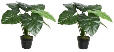 2x Groene Colocasia/taro kunstplant 52 cm in zwarte pot - Kunstplanten