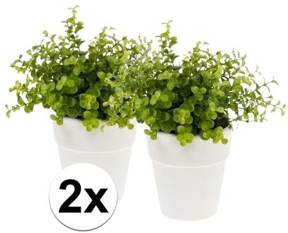 2x Groene kunstplant eucalyptus plant in pot - Kunstplanten