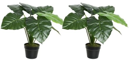 2x Groene taro kunstplanten 52 cm met zwarte pot - Kunstplanten