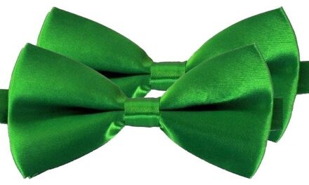 2x Groene verkleed vlinderstrikken/vlinderdassen 12 cm voor dames/heren