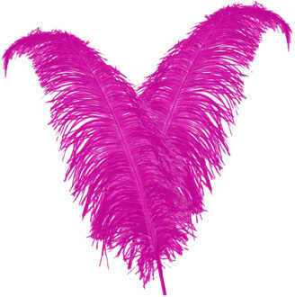 2x Grote veren/struisvogelveren fuchsia roze 50 cm - Carnaval feestartikelen - Sierveren/decoratie veren - Charleston veren