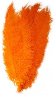 2x Grote veren/struisvogelveren oranje 50 cm - Carnaval feestartikelen - Sierveren/decoratie veren - Charleston veren