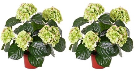 2x Hortensia kunstbloemen groen/roze 36 cm - Kunstplanten Multikleur