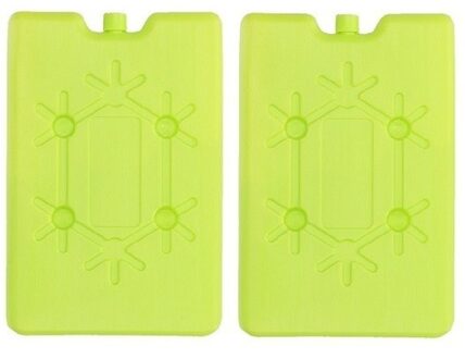 2x Koelelementen fel groen 16 cm - Koelblokken/koelelementen voor koeltas/koelbox