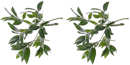 2x Kunstplant Lauriertakken Van Ongeveer 48 Cm - Kunstplanten Groen