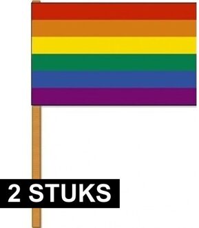 2x Luxe zwaaivlaggen/handvlaggen regenboog 30 x 45 cm met houten stok -  LGBT/LGBTQ feestartikelen