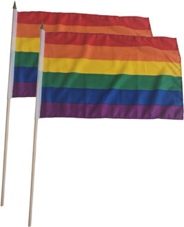2x Luxe zwaaivlaggen regenboog 30 x 45 cm met houten stok