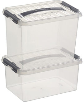 2x Opberg boxen/opbergdozen set 6 en 9 liter 30 cm kunststof