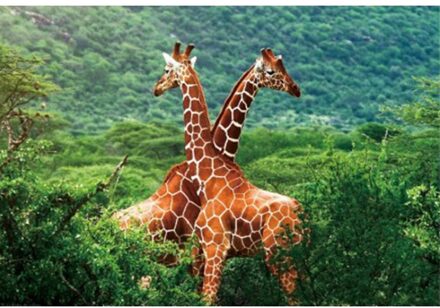 2x Placemats giraffe 3D 28 x 44 cm  - Kinder placemats giraffe - keuken accessoires