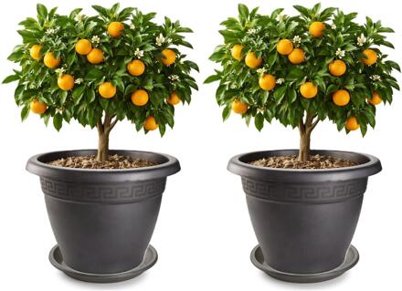 2x plantenpot met opvang schaal - antraciet - rond - D50 x H40 cm - kunststof - tuin