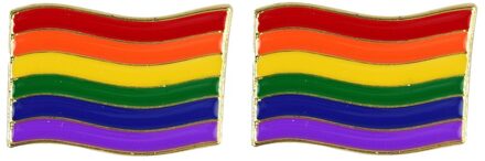 2x Regenboog gay pride kleuren metalen pin/broche/badge 4 cm - Regenboogvlag LHBT accessoires