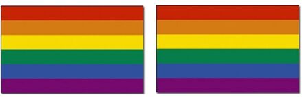 2x Regenboog vlaggen 90 x 150 cm  - Gaypride vlag