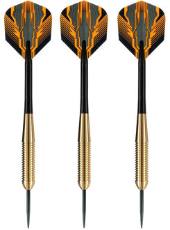 2x Set Van 3 Dartpijlen Club Brass 19 Grams - Dartpijlen Multikleur