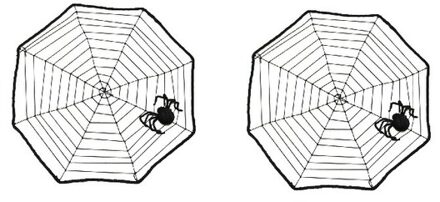 2x Spinnenwebben 40 x 40 cm