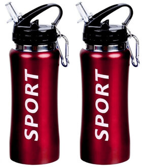 2x Sport Bidon drinkfles/waterfles Sport print rood 420 Ml