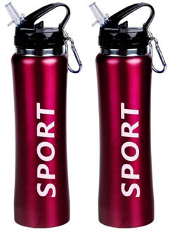 2x Sport Bidon Drinkfles/waterfles Sport Print Rood 600 Ml - Drinkflessen