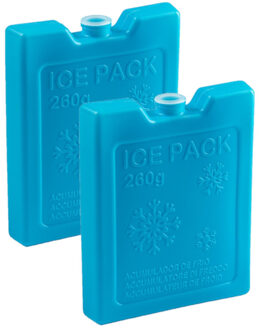 2x stuks 260 grams koelelementen 13 x 10.5 cm blauw