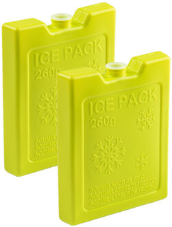 2x stuks 260 grams koelelementen 13 x 10.5 cm groen