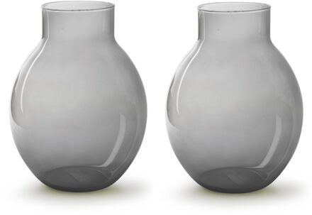 2x stuks bloemenvazen - Eco smoke glas - lichtgrijs/transparant - H25 x D19 cm - Vazen