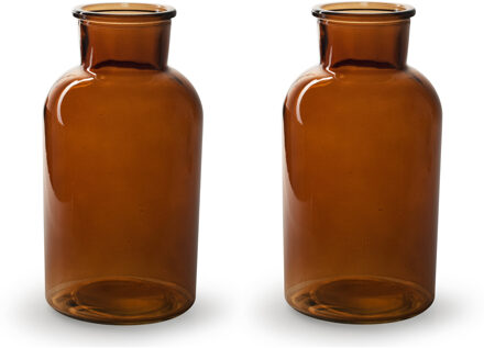 2x Stuks Bloemenvazen - mahonie bruin/transparant glas - H20 x D10 cm