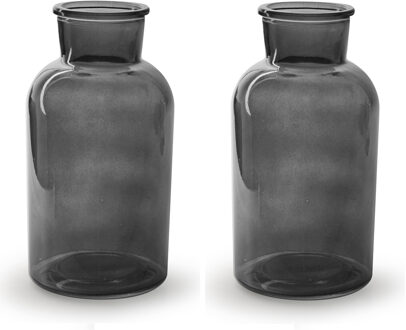 2x Stuks Bloemenvazen - smoke grijs/transparant glas - H20 x D10 cm - Vazen