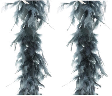 2x stuks carnaval verkleed veren Boa kleur grijs 2 meter