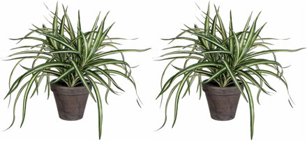 2x stuks dracaena kunstplanten groen in grijze pot H34 cm x D40 cm - Kunstplanten