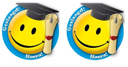 2x stuks geslaagd thema decoratie borden 49 cm - Feestartikelen en versiering