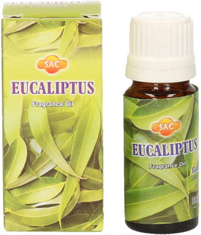 2x stuks geurolie eucalyptus 10 ml flesje