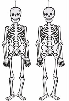 2x stuks glow in the dark hangdecoratie Halloween skelet 120 cm