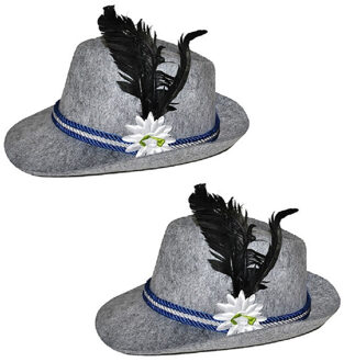 2x stuks grijs Tiroler Oktoberfest verkleed hoedje voor volwassenen