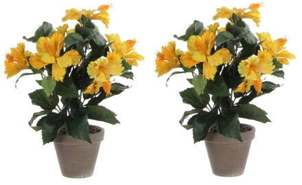 2x Stuks Hibiscus Kunstplanten Geel In Grijze Pot H40 X D30 Cm - Kunstplanten