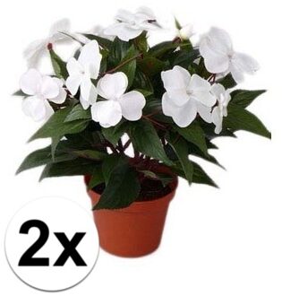 2x stuks Kunstplanten witte Vlijtig Liesje heester van 25 cm - Kunstplanten