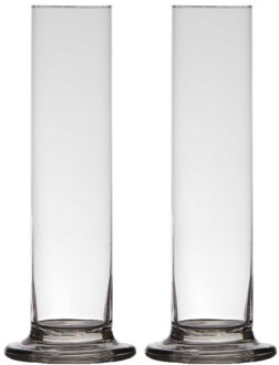 2x stuks luxe stijlvolle 1 bloem vaas/vazen 25 x 6 cm transparant glas - Vazen