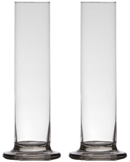 2x stuks luxe stijlvolle 1 bloem vaas/vazen 30 x 6 cm transparant glas - Vazen