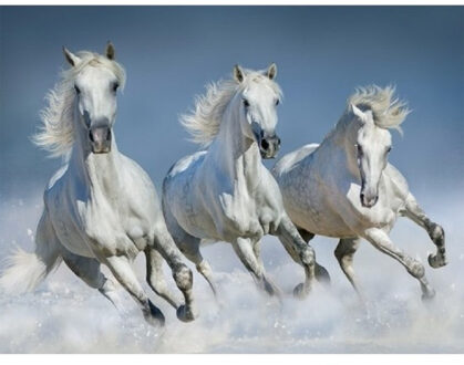 2x stuks placemats met witte paarden 3D print - Formaat 30 x 40 cm - Ontbijt/lunch of knutselen onderlegger