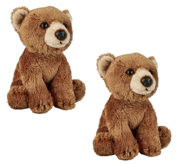 2x stuks pluche bruine beer/beren knuffel 15 cm speelgoed