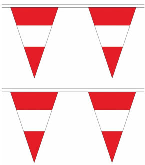2x stuks polyester vlaggenlijn Oostenrijk 5 meter