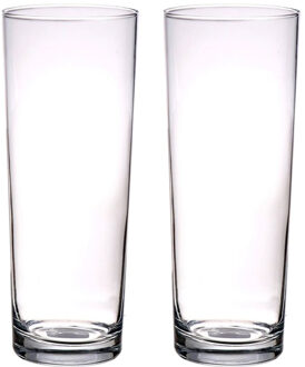 2x stuks rechte bloemenvaas/vazen glas 24 cm - Vazen Transparant