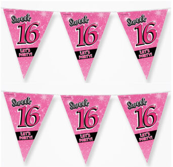 2x stuks sweet 16 slingers 10 meter roze - 16e Verjaardag - Vlaggenlijnen/slingers - Feestversiering