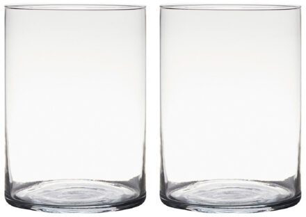 2x stuks transparante home-basics cylinder vorm vaas/vazen van glas 25 x 18 cm - Vazen