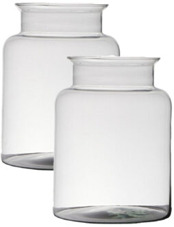 2x stuks transparante home-basics vaas/vazen van glas 25 x 19 cm