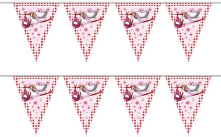 2x stuks Vlaggenlijn geboorte meisje 6 meter feestartikelen en versiering