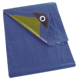 2x stuks waterdicht dekzeil blauw/kaki groen 2 x 3 meter - Action products