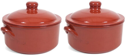 2x Terracotta stoofpotten/ovenschalen met deksel 25 cm - Braadpannen Bruin