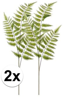 2x Tree fern kunst tak 85 cm - Kunstbloemen Groen