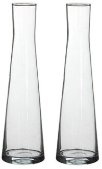 2x Uitlopende transparante vaas/vazen Ixia 30 x 4,5 cm